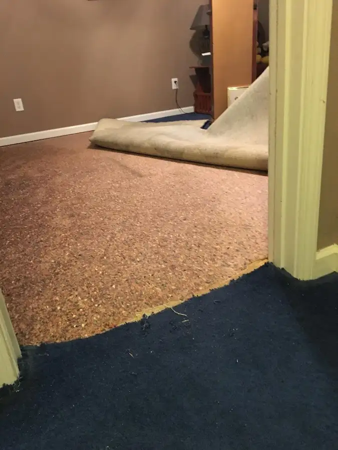 Carpet pad removal revealing water damage during Water Mitigation Services in Dumbarton
