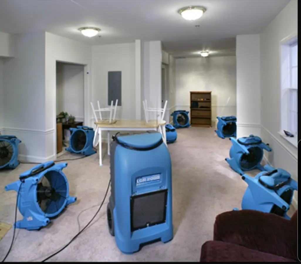 Air movers and dehumidifier setup for Water Extraction & Removal in Dumbarton