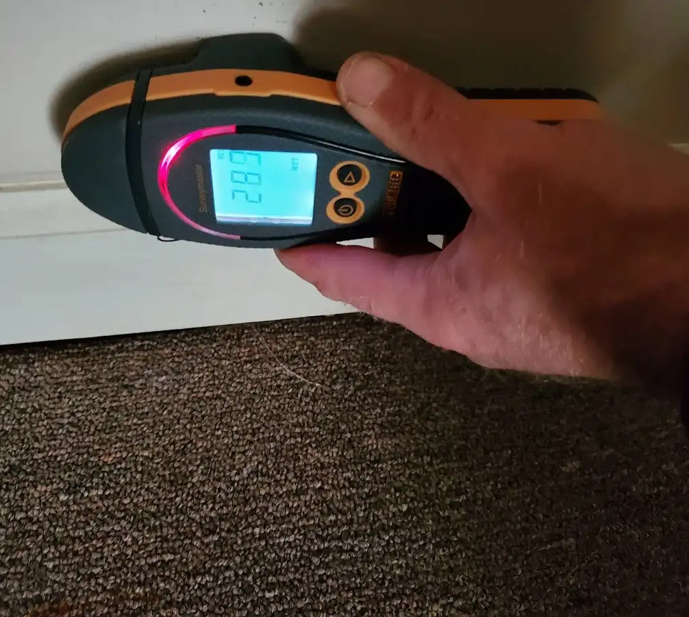 Moisture detection at baseboard during Mold Inspection & Testing in Dumbarton